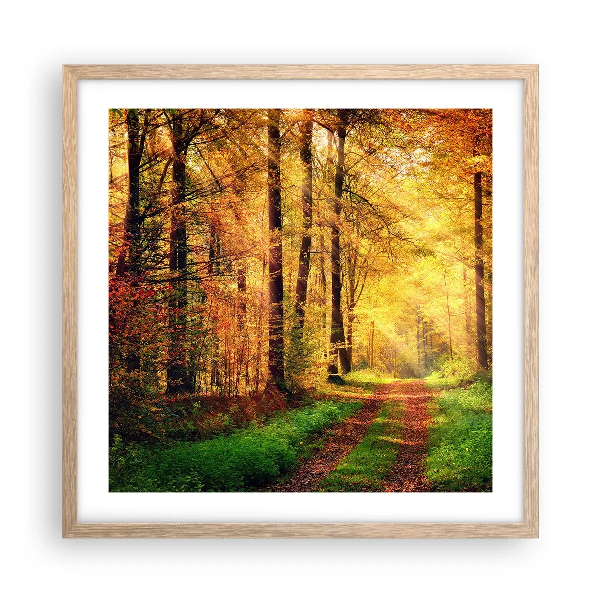 Poster în ramă de stejar deschis - Tăcere de aur de pădure - 50x50 cm