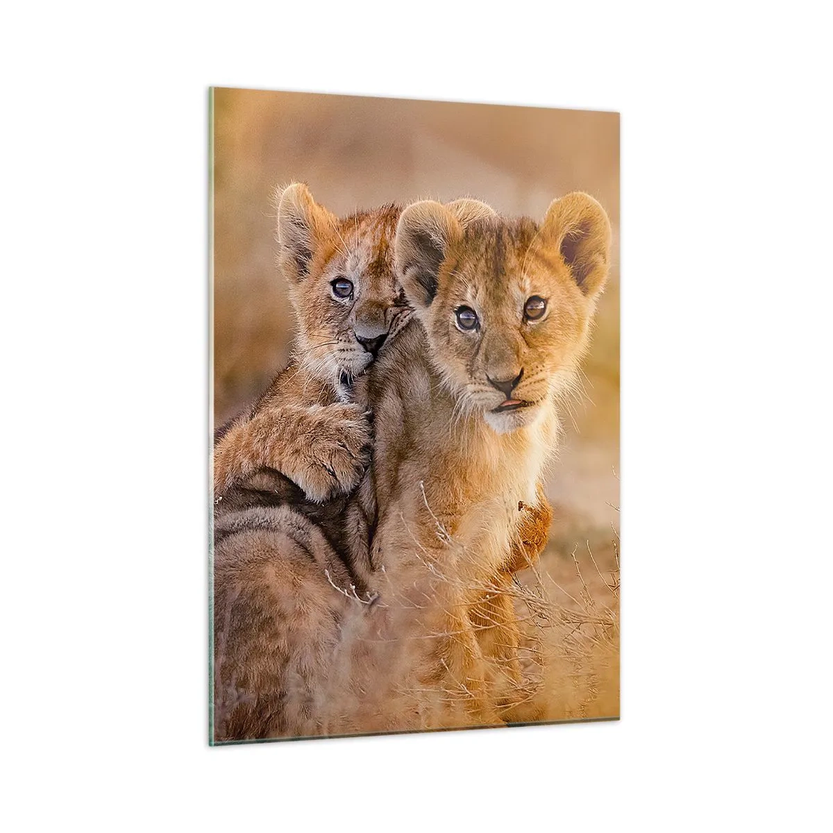 Tablou pe sticlă - Nu deranjați! Ne distrăm - 50x70 cm