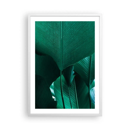Poster în ramă albă - Cu frunza la lumină - 50x70 cm