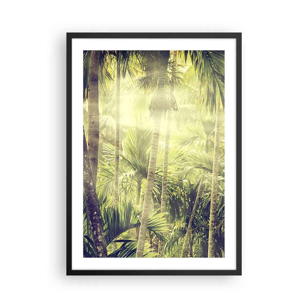 Poster în ramă neagră - Pădure tropicală cu raze de soare în fundal - 50x70cm - Ardoare verde - Decorațiune modernă pentru perete pentru living și dormitor ARTTOR