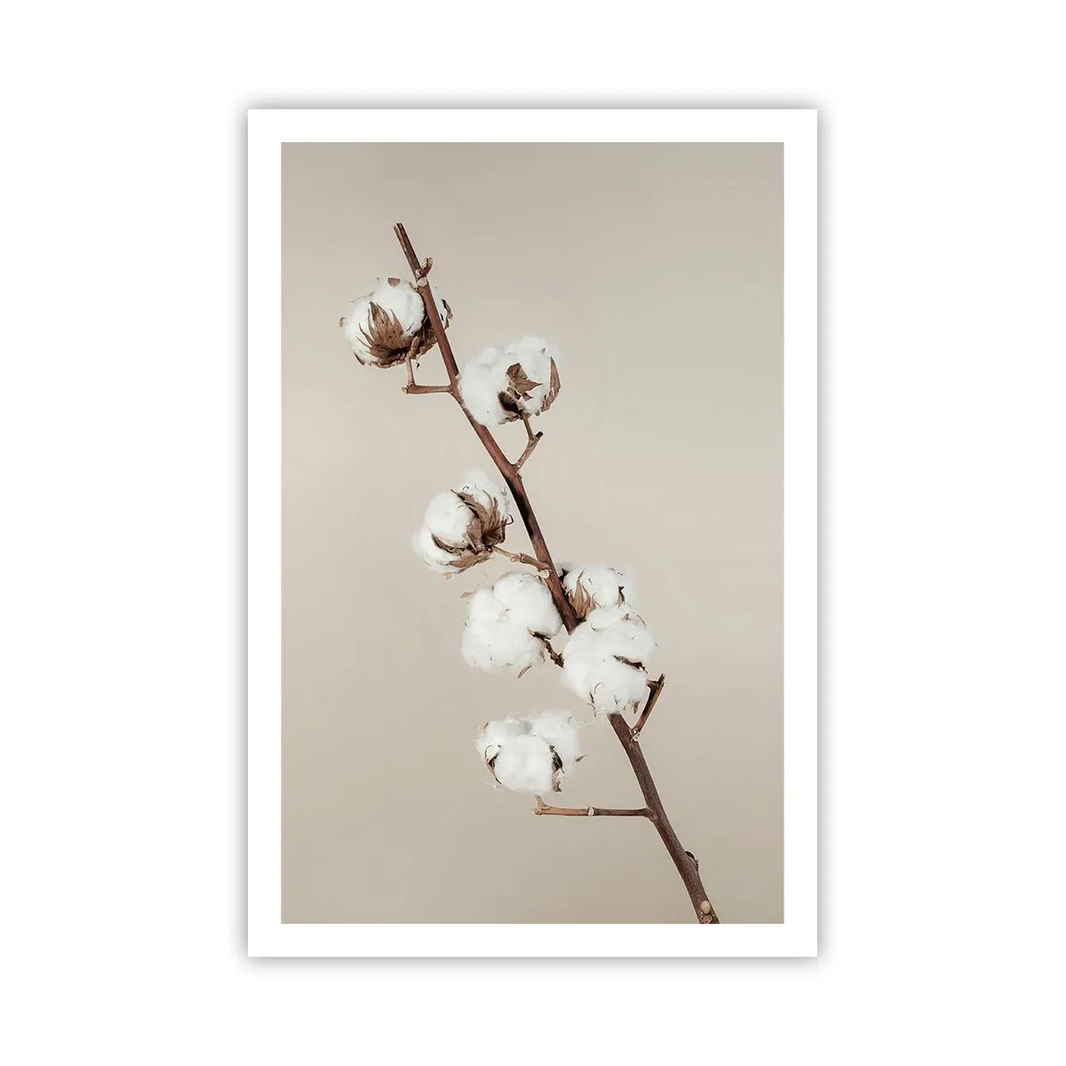 Poster - La sursa moliciunii - 61x91 cm