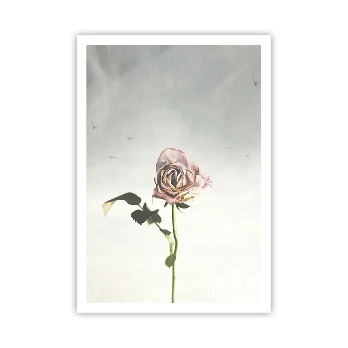 Poster - Primăvara binevenită - 70x100 cm