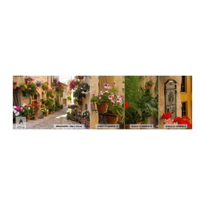 Mostră tapet Premium Sand - Într-un potop de flori - Oraș, Italia, Străzi frumoase - 100x30 cm