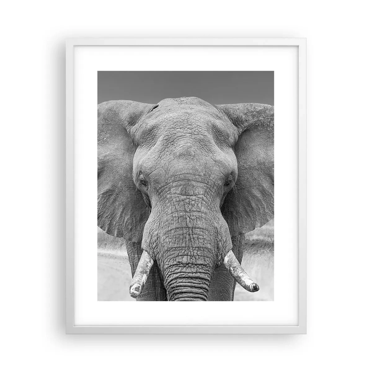 Poster în ramă albă - Bun venit în lumea mea - 40x50 cm