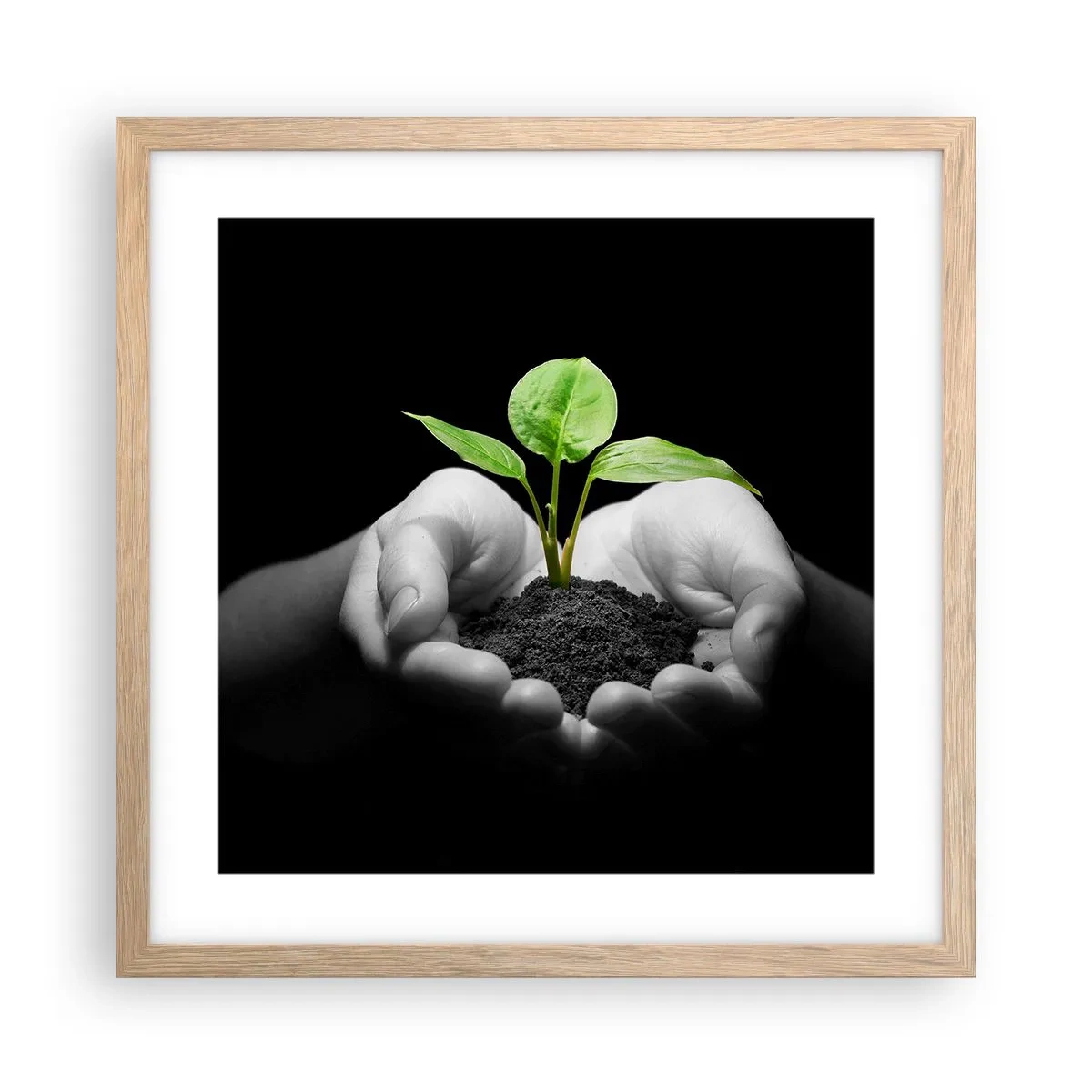 Poster în ramă de stejar deschis - Iubesc natura, o protejez - 40x40 cm