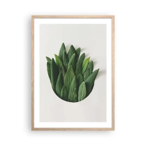 Poster în ramă de stejar deschis - Curiozitatea nestăvilită - 50x70 cm