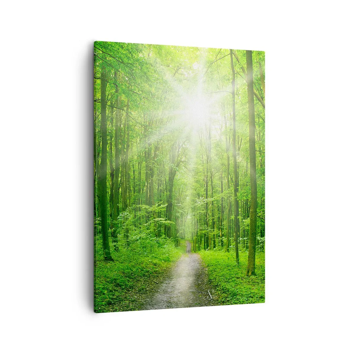 Tablou pe pânză - Catedrala verde - 50x70 cm