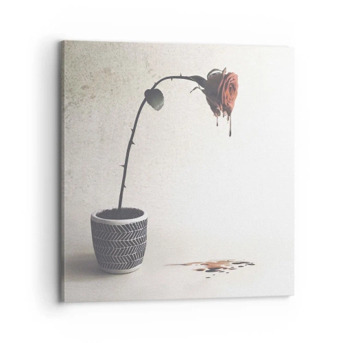 Tablou pe pânză - Rosa dolorosa - 70x70 cm