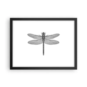 Poster în ramă neagră - Precizia naturii - 40x30 cm