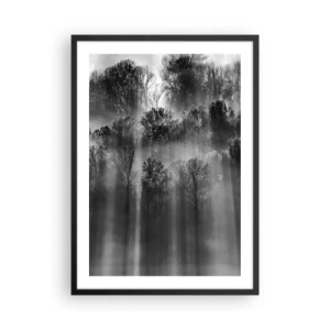 Poster în ramă neagră - Pădure alb-negru în ceață cu raze de soare - 50x70cm - În fluxuri de lumină - Decorațiune modernă pentru perete pentru living și dormitor ARTTOR