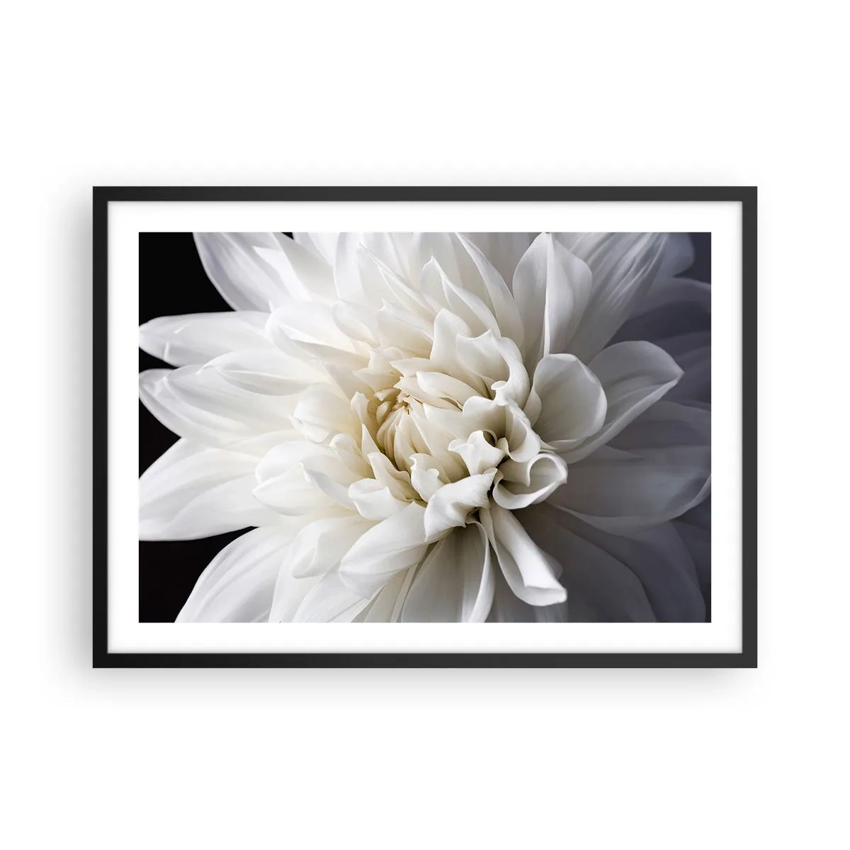 Poster în ramă neagră - Dimineața miresei - 70x50 cm