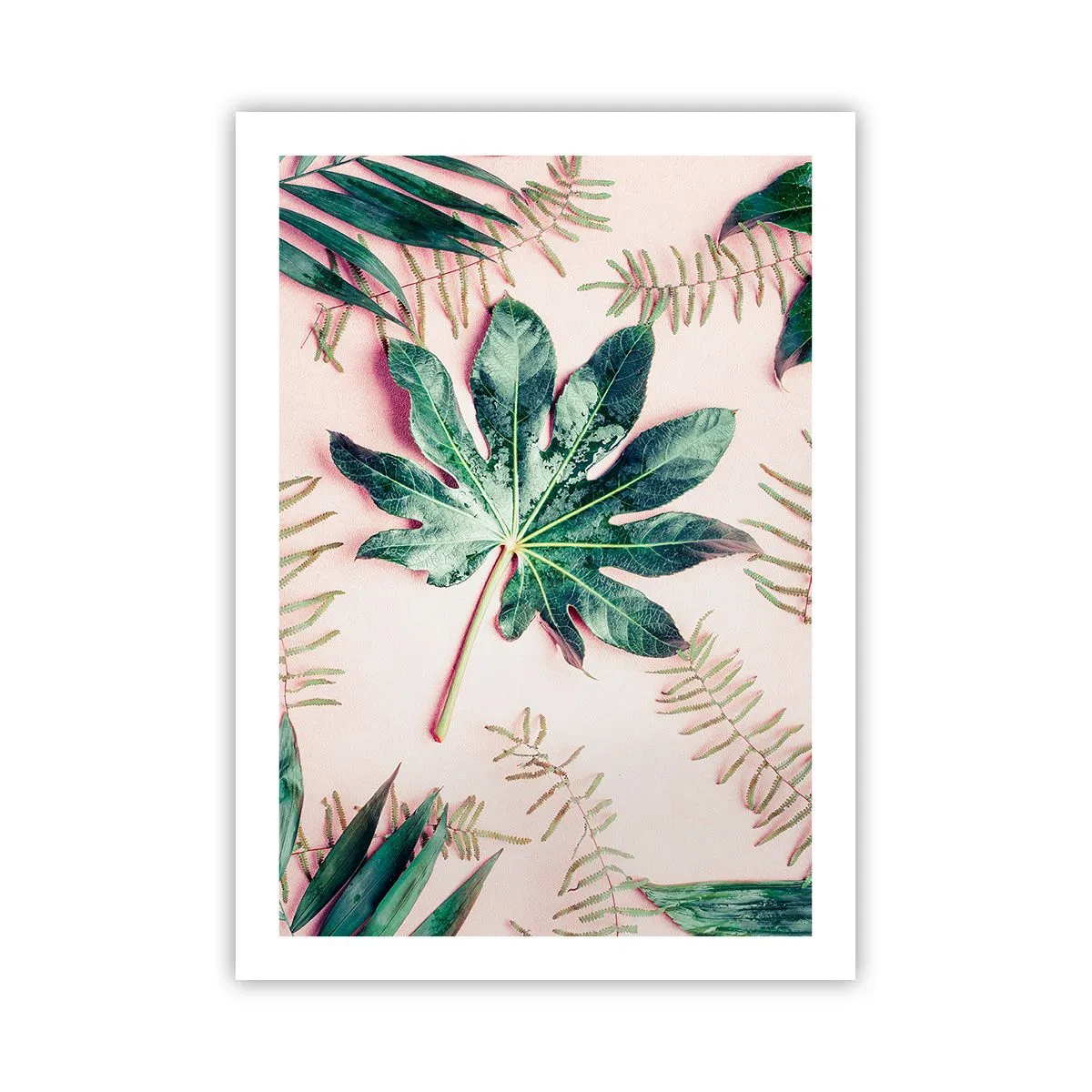Poster - Studiu de verdeață pe un fundal roz - 50x70 cm