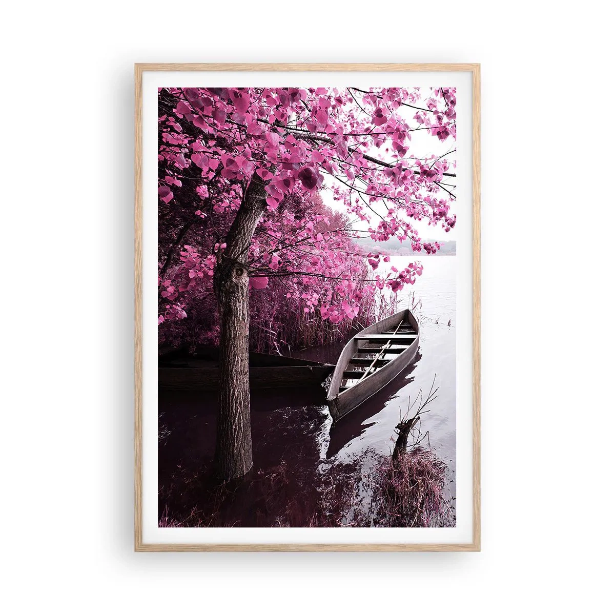 Poster în ramă de stejar deschis - În tăcerea roz - 70x100 cm