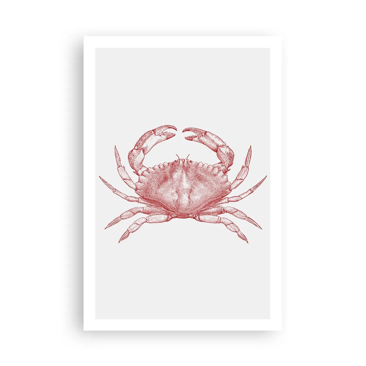 Poster - Crab peste crabi - 61x91 cm