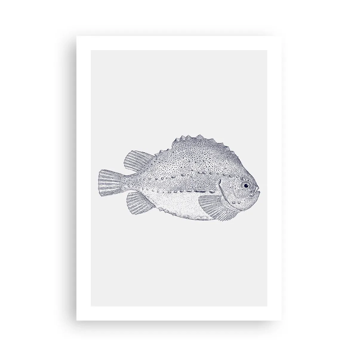 Poster - Pentru albumul naturalistului - 50x70 cm