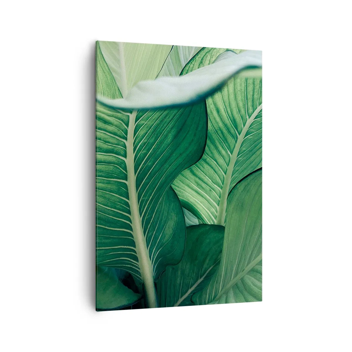 Tablou pe pânză - Viață intensă în verde - 70x100 cm