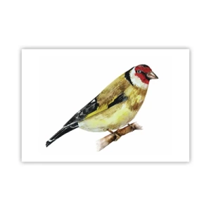 Poster - Portret de pasăre - 91x61 cm