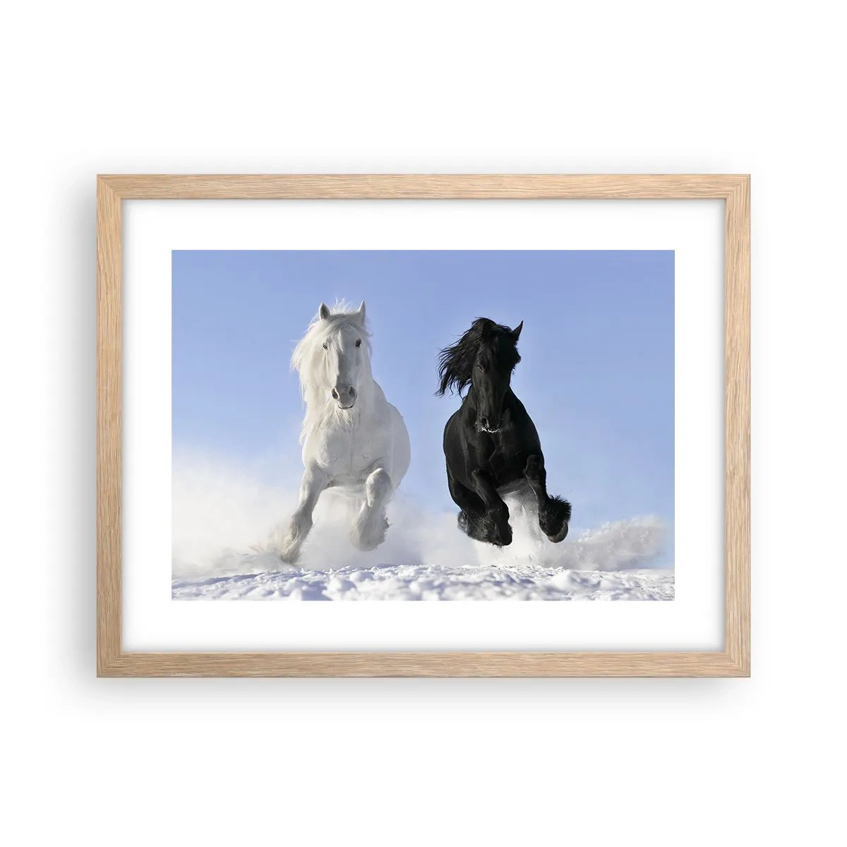 Poster în ramă de stejar deschis - Galop de alb și negru - 40x30 cm
