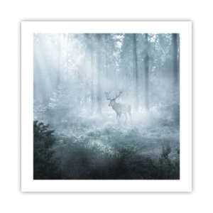 Poster - Plimbarea de dimineață prin regat - 50x50 cm