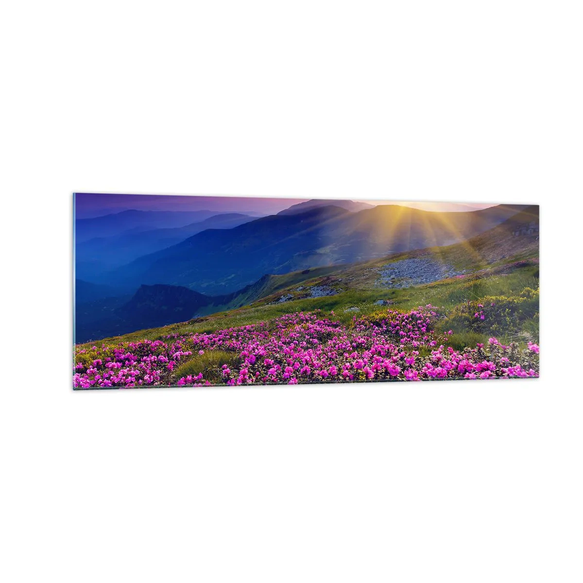 Tablou pe sticlă - ... Și peste tot în jur se simte un miros de jneapăn și parfum de ierburi... - 140x50 cm