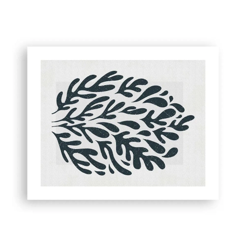 Poster - Formele naturii - 50x40 cm