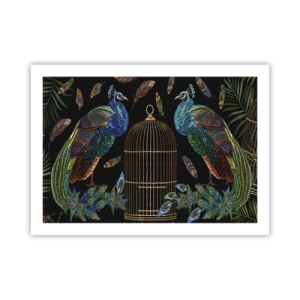 Poster - În veșmânt regal - 70x50 cm