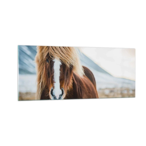 Tablou pe sticlă - Simțiți libertatea? - 100x40 cm