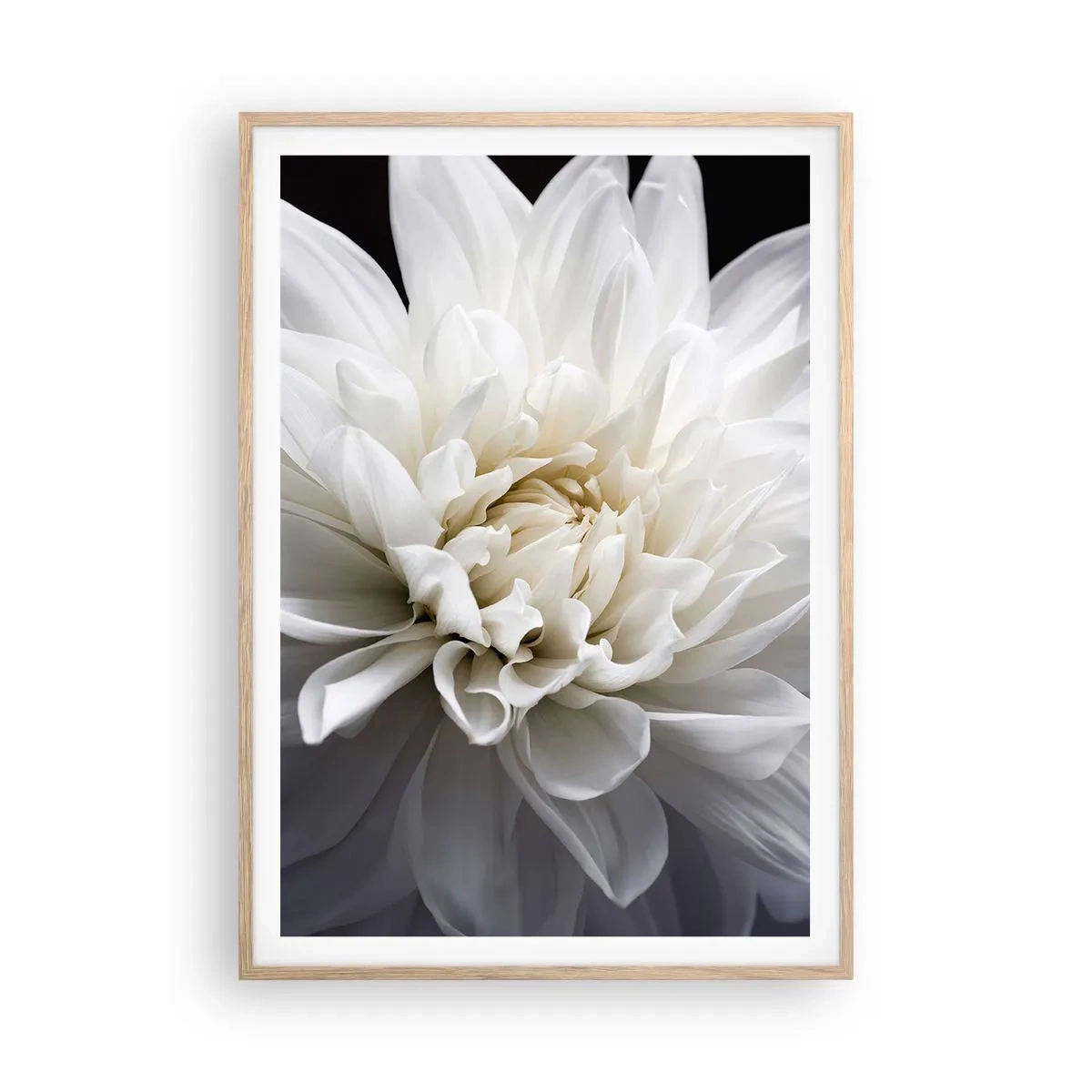 Poster în ramă de stejar deschis - Dimineața miresei - 70x100 cm