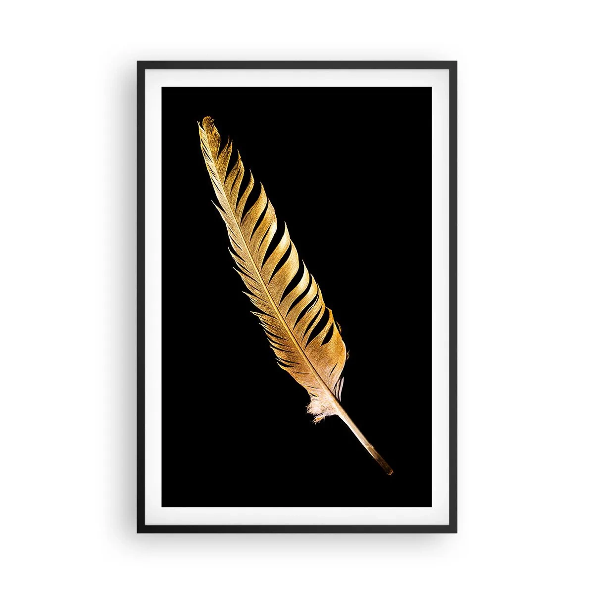 Poster în ramă neagră - Pană aurie perfectă - 61x91 cm