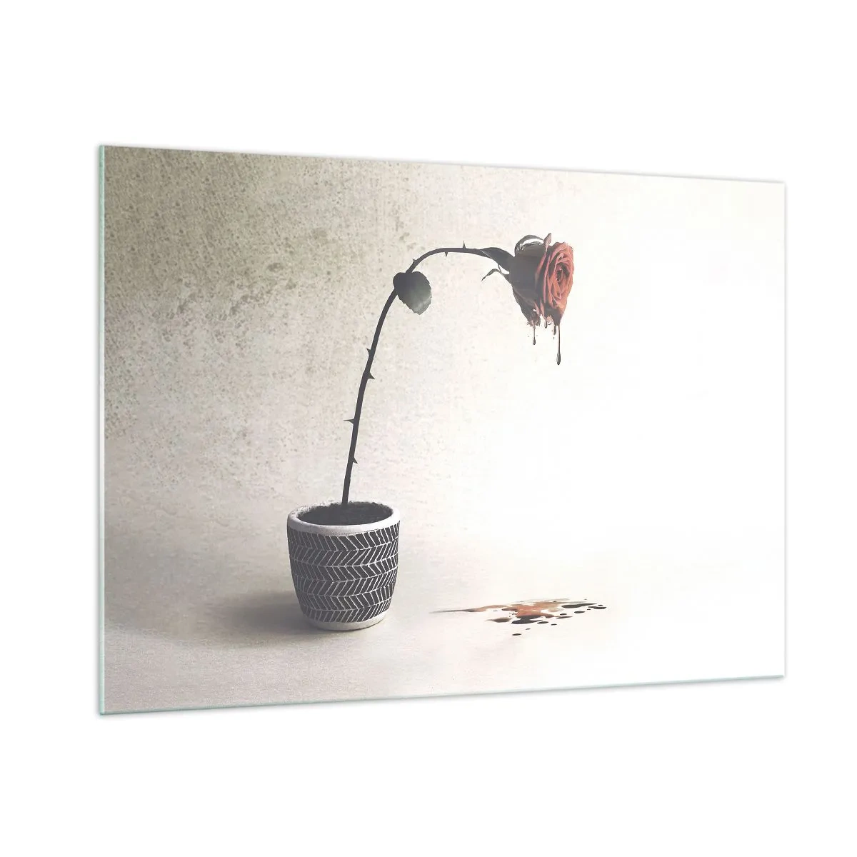 Tablou pe sticlă - Rosa dolorosa - 100x70 cm