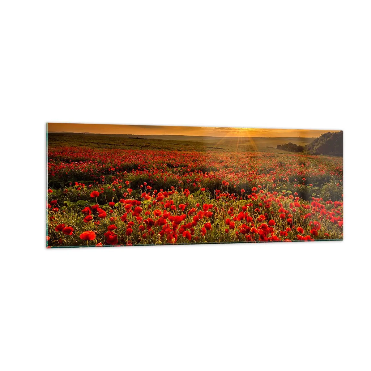 Tablou pe sticlă - Printre valuri de pajiști care zumzăie, printre potop de flori - 140x50 cm