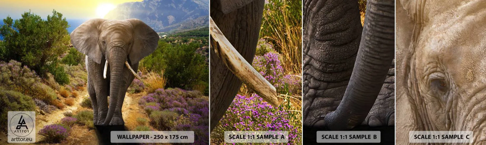 Mostră tapet autocolant Deluxe Sticker - Iată cum arăta Edenul - Animale, Elefant, Safari - 100x30 cm