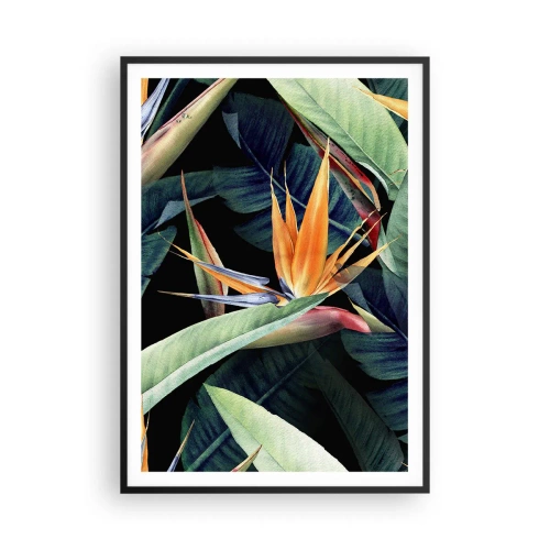 Poster în ramă neagră - Florile de flacără ale tropicelor - 70x100 cm