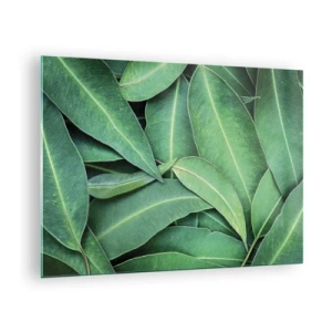 Tablou pe sticlă - Prim-plan cu frunze verzi aranjate în straturi - 70x50cm - Suculente și proaspete - Decorațiune modernă pentru perete pentru living și dormitor ARTTOR
