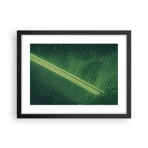 Poster în ramă neagră - Structura verdelui - 40x30 cm