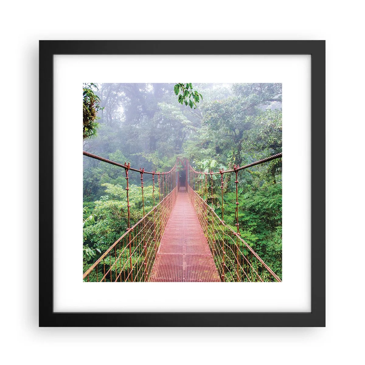 Poster în ramă neagră - Suspendat deasupra coroanelor arborilor - 30x30 cm