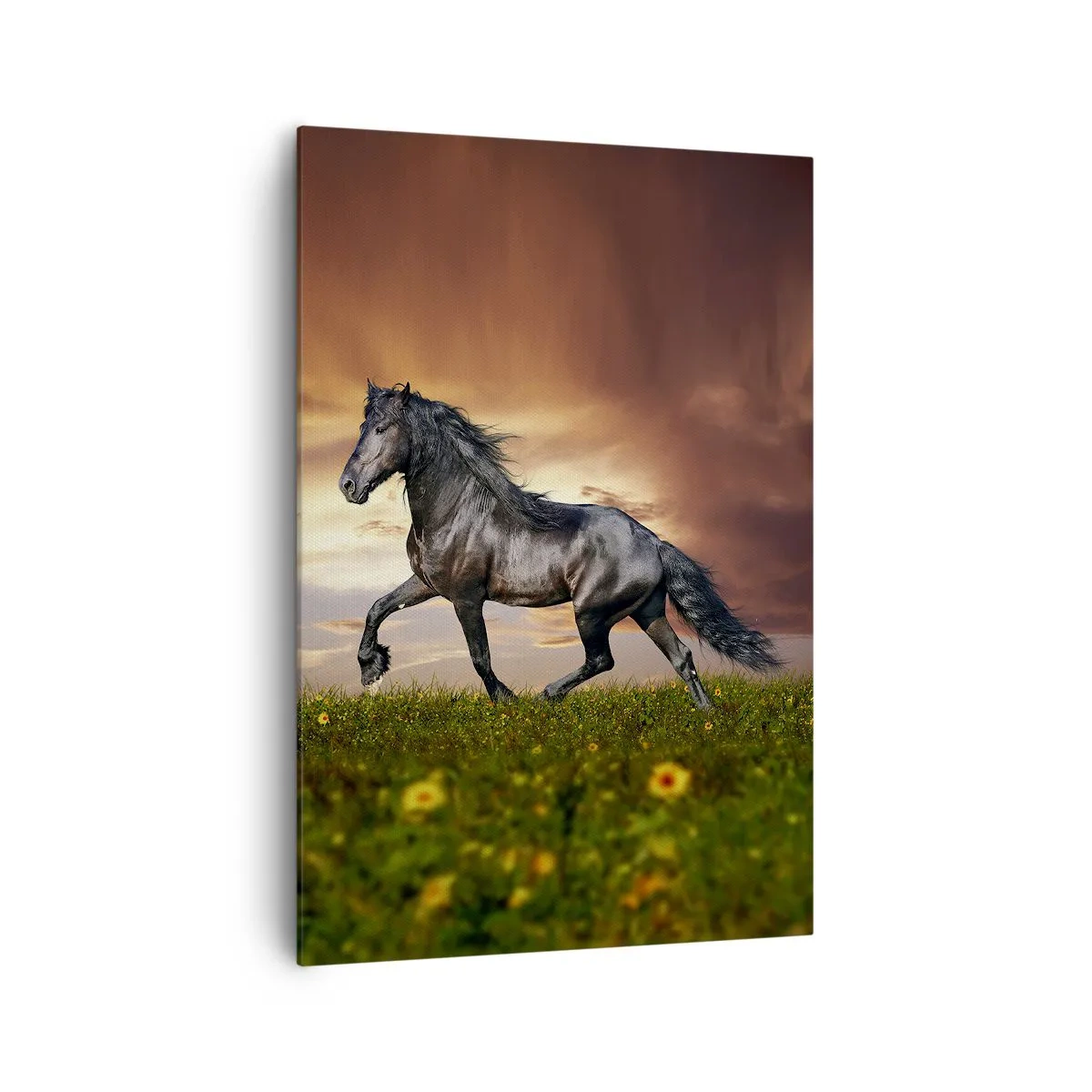 Tablou pe pânză - Prințul negru - 70x100 cm