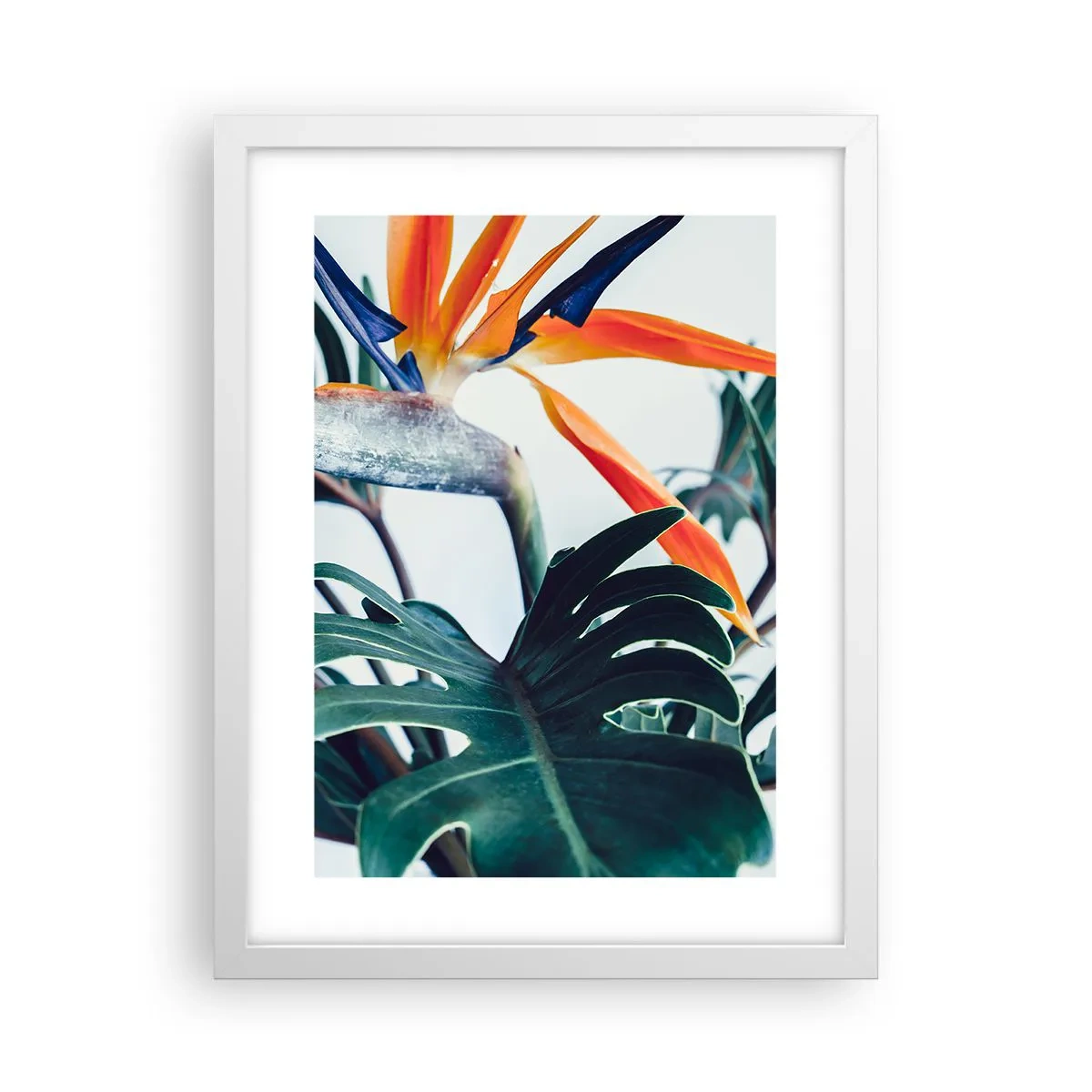 Poster în ramă albă - Tufiș sau pasăre? - 30x40 cm