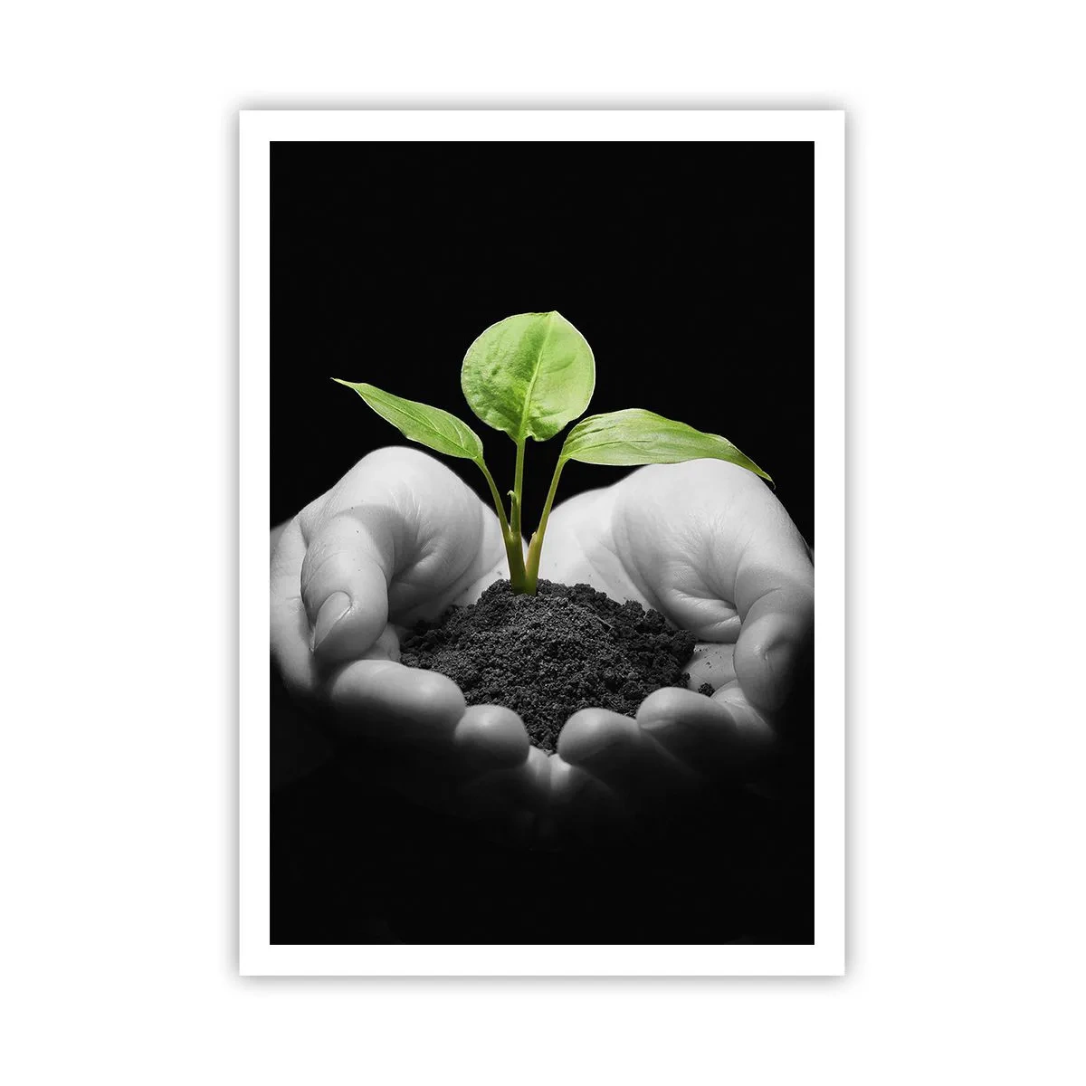 Poster - Iubesc natura, o protejez - 70x100 cm