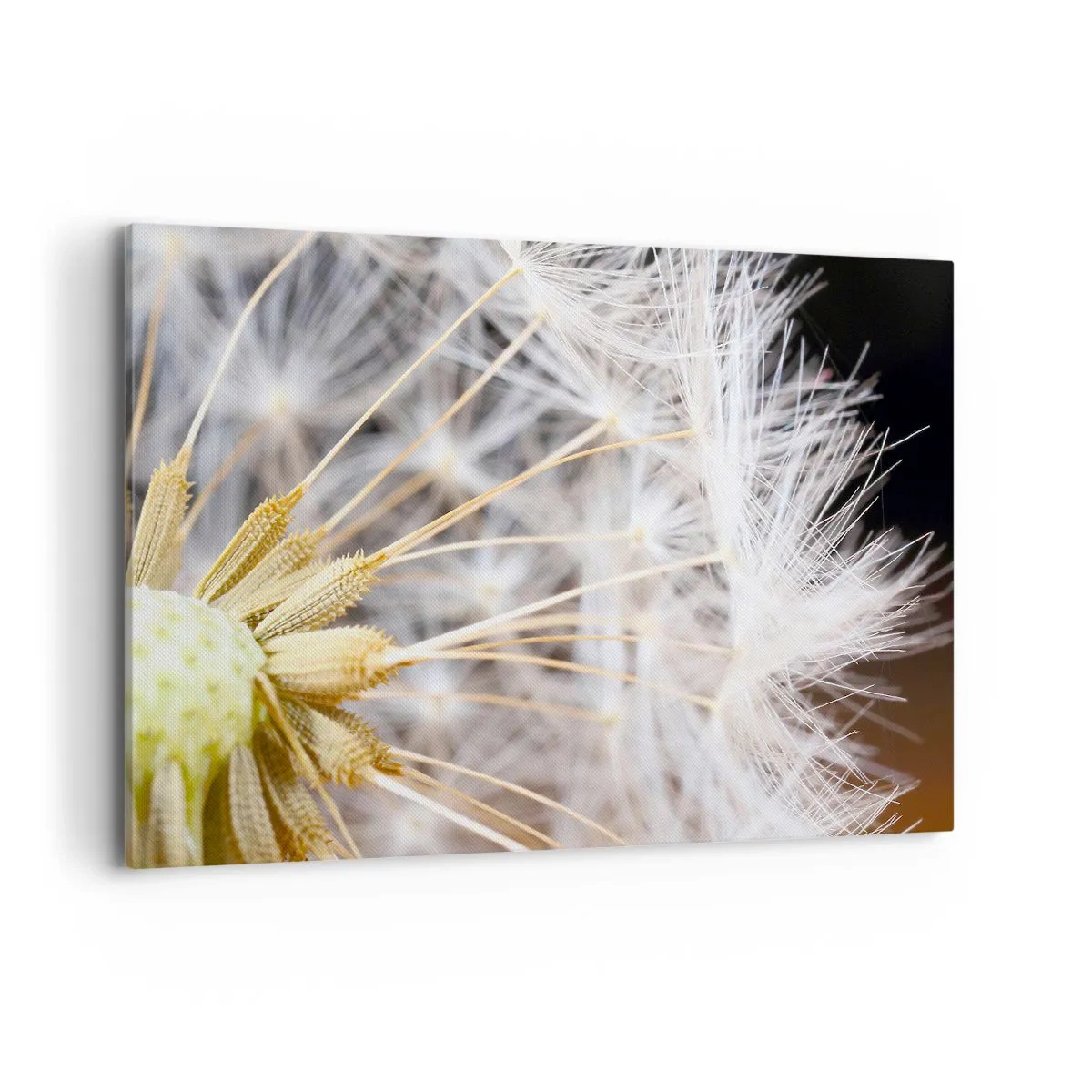 Tablou pe pânză - Chiar înainte de zbor... - 100x70 cm