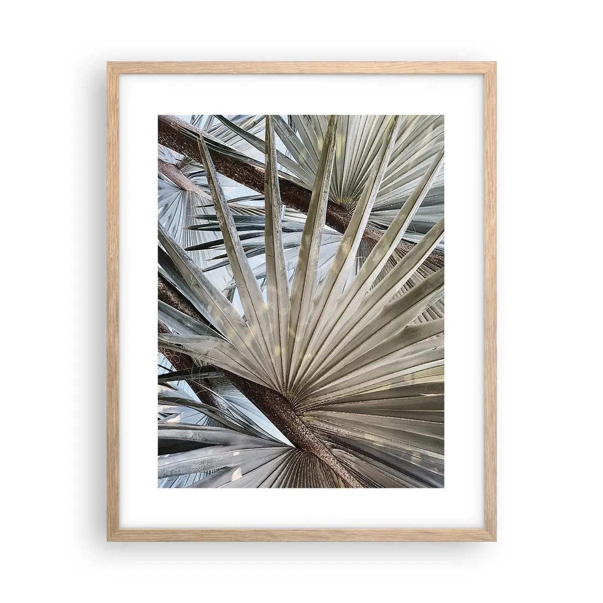 Poster în ramă de stejar deschis - Evantaie din tropice - 40x50 cm