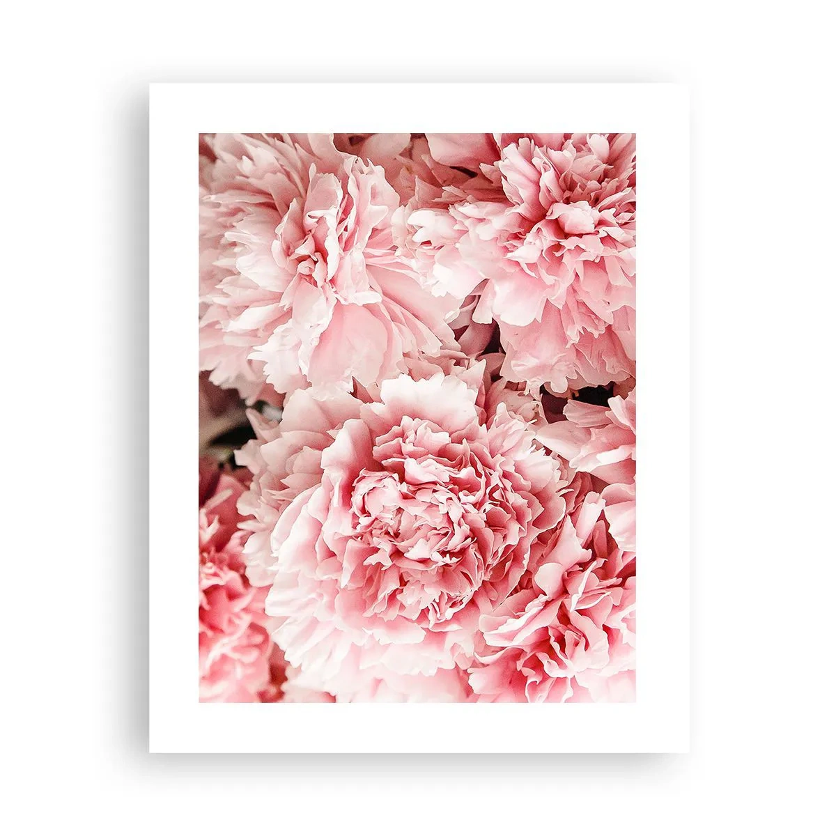 Poster - Visul roz - 40x50 cm