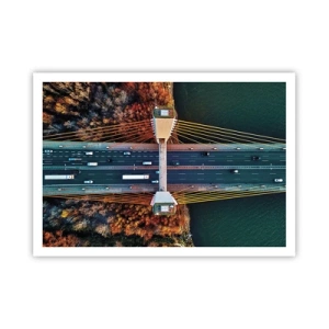 Poster - Din pădure spre apă - 100x70 cm