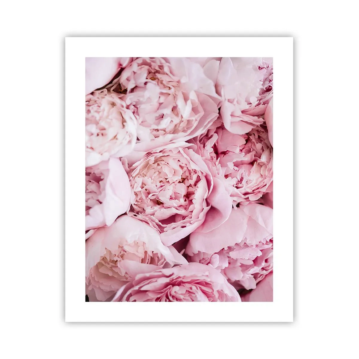 Poster - Îmbrățișate și parfumate - 40x50 cm