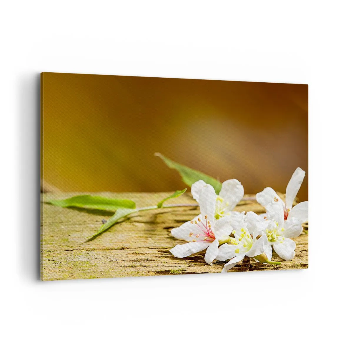 Tablou pe pânză - O promisiune nevinovată - 120x80 cm