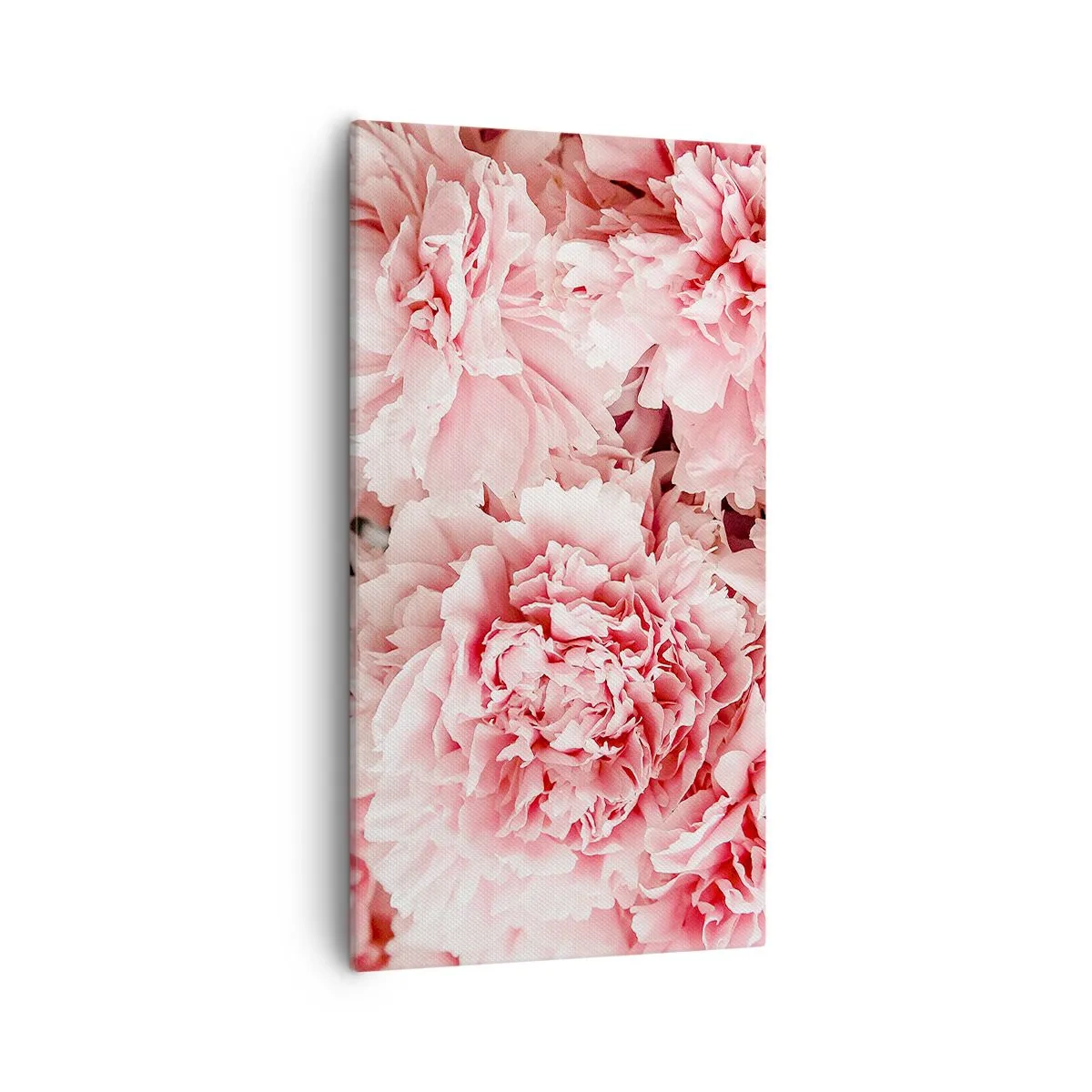 Tablou pe pânză - Visul roz - 55x100 cm