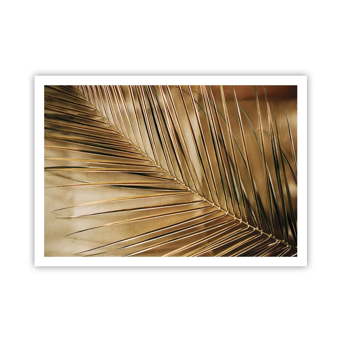 Poster - Colonadă naturală - 100x70 cm