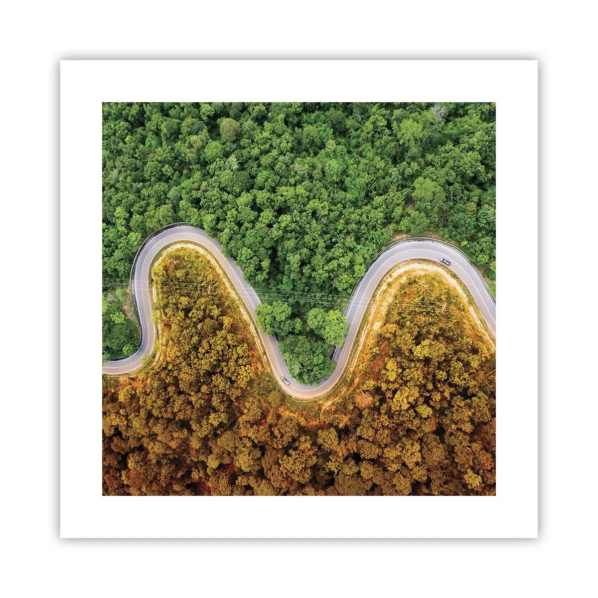 Poster - Frontiere și defilee - 40x40 cm
