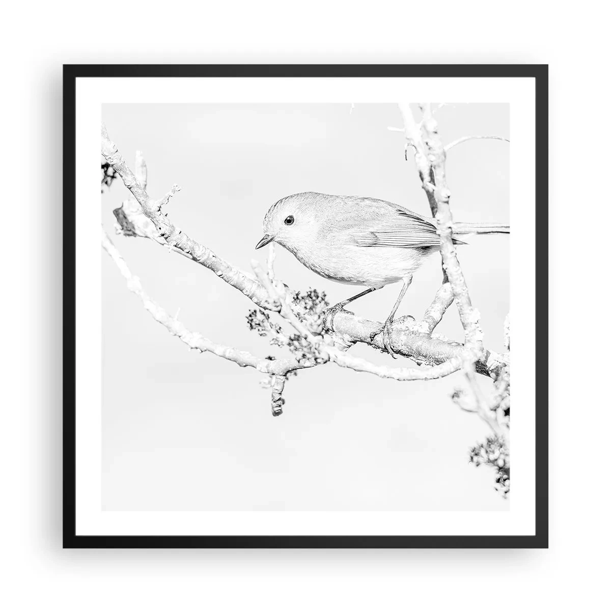 Poster în ramă neagră - Dimineață de iarnă - 60x60 cm