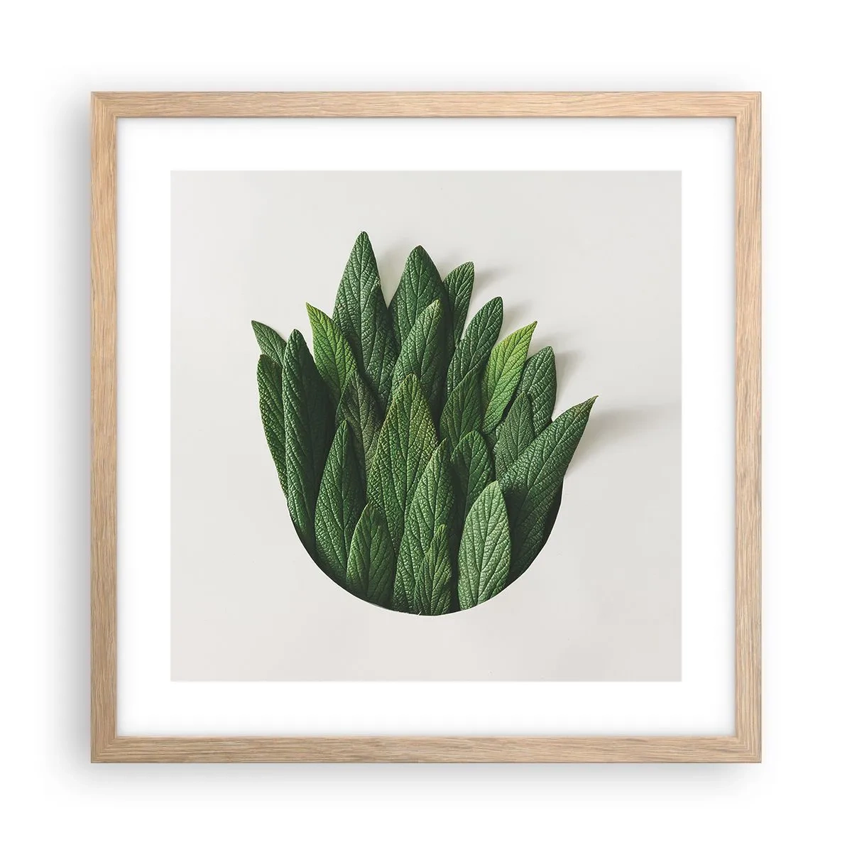 Poster în ramă de stejar deschis - Curiozitatea nestăvilită - 40x40 cm